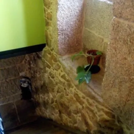 Casa Vacacional Canastro * Muinos (Ourense)